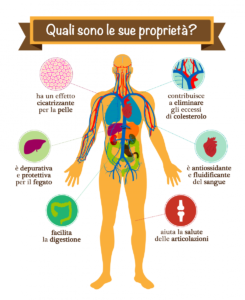 prporieta-curcuma-02