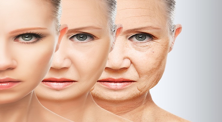 Antiaging