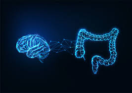 brain Dieta mediterranea, microbiota intestinale e sistema nervoso: un approccio integrato alla salute neuro-intestinale