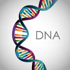 Nutrigenetica ed Epigenetica: Come 